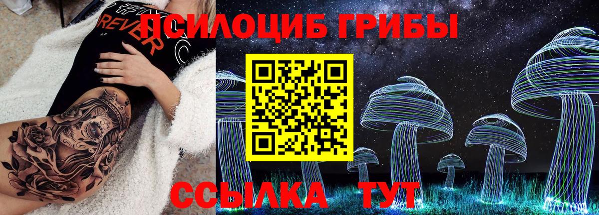 Псилоцибиновые грибы мицелий Богородицк